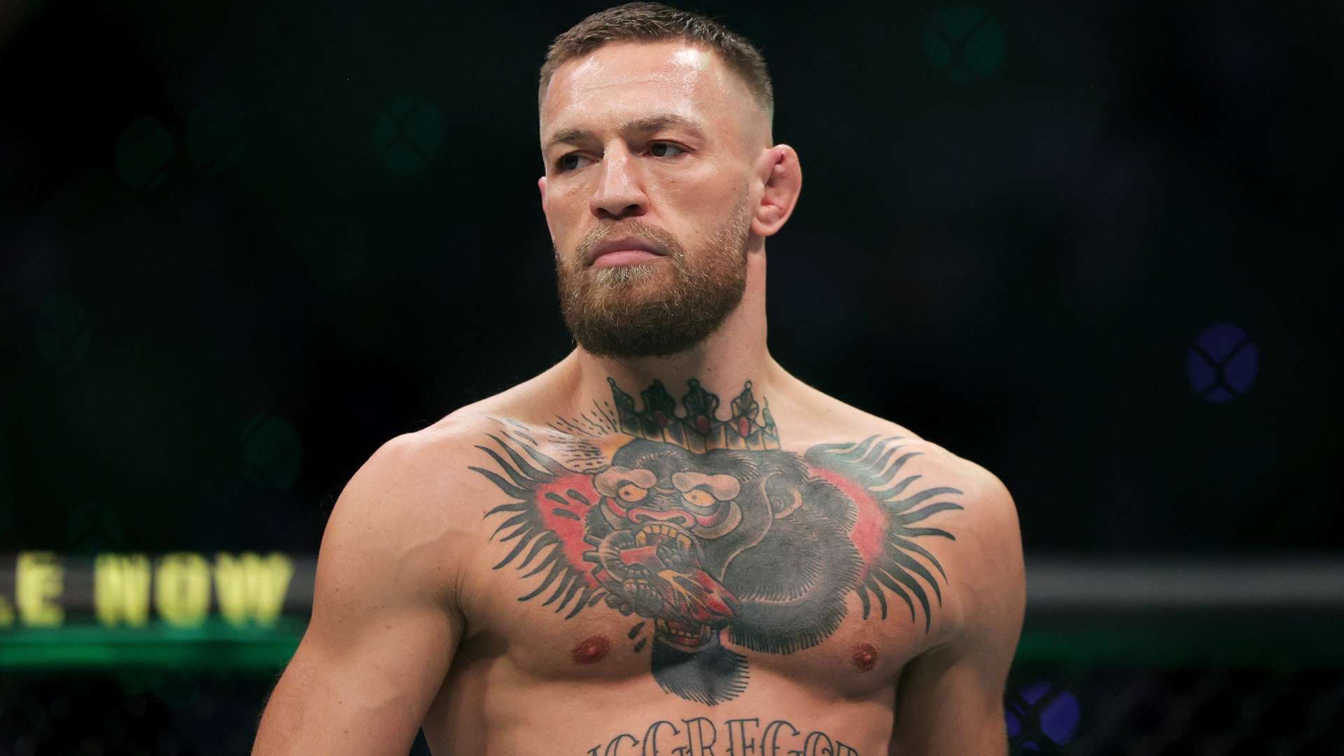 他们的进攻 他们的进攻